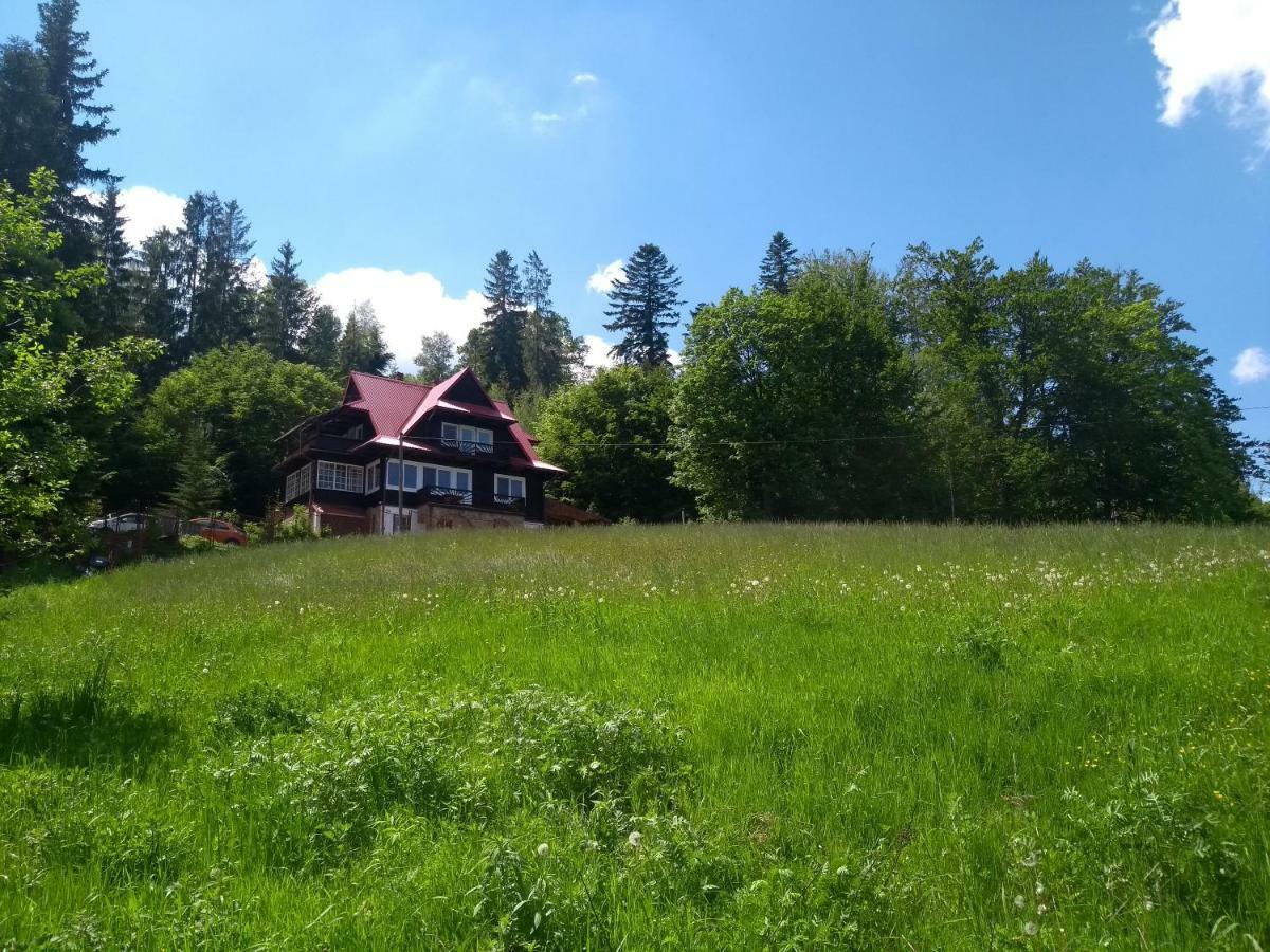 Wislok Wisła